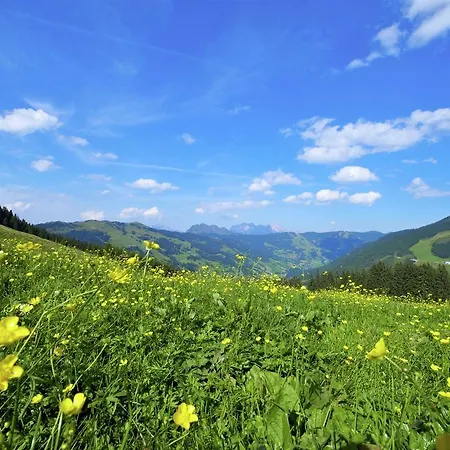 Panoramablick 1 Saalbach-Hinterglemm